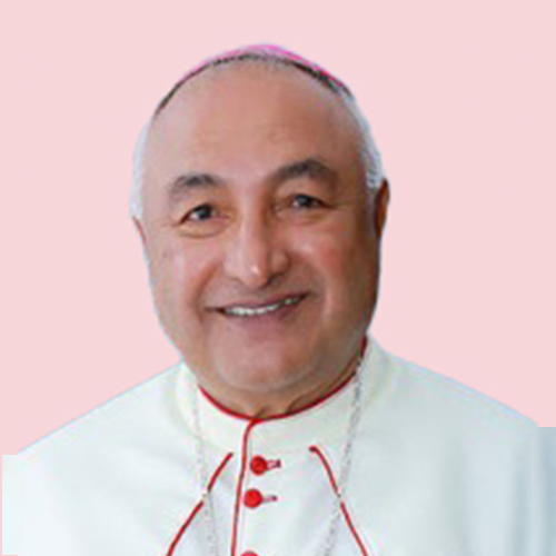 Rev. Fr Thomas Chathamparampil CMI